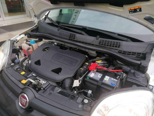 FIAT Panda usata 19