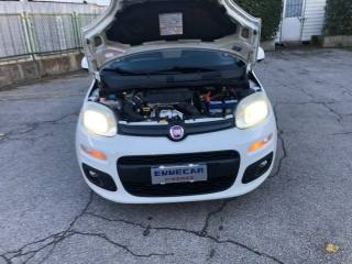 FIAT Panda usata 14