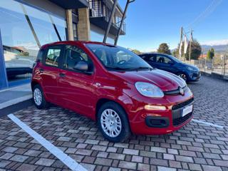 FIAT Panda usata, con Airbag Passeggero