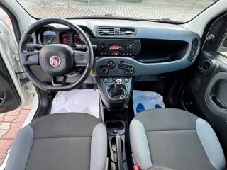 FIAT New Panda usata, con Fendinebbia