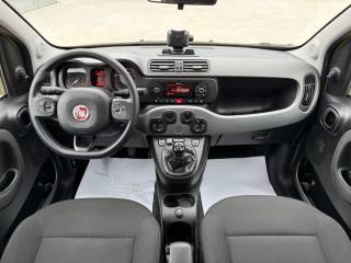 FIAT Panda usata 25