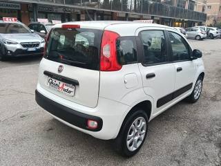 FIAT Panda usata 16