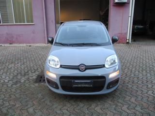 FIAT Panda 1.2 Easy *OTTIME CONDIZIONI
