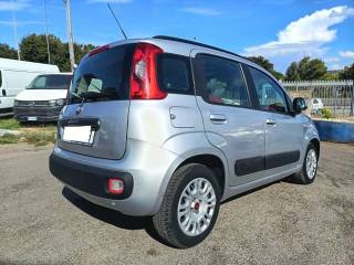 FIAT Panda usata 6