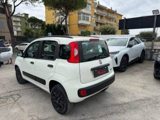 FIAT Panda usata, con Antifurto