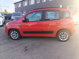 FIAT Panda usata 3