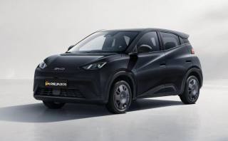 BYD Dolphin Surf usata, con Touch screen