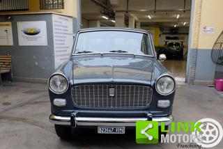 FIAT 1100 usata 6