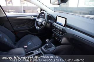 FORD Focus usata 7