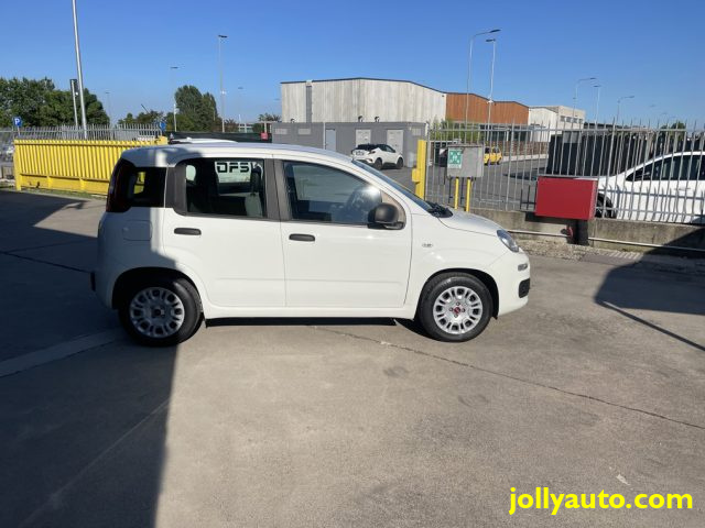 FIAT Panda usata, con Alzacristalli elettrici