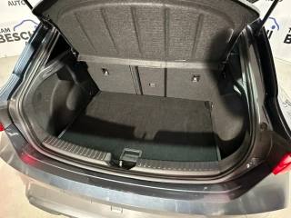 CUPRA Leon usata, con Fendinebbia