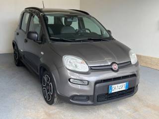 FIAT Panda usata, con Airbag Passeggero