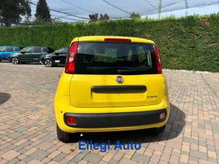 FIAT Pandina usata, con ESP