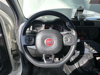 FIAT Panda usata 13