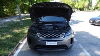 LAND ROVER Range Rover Evoque usata 124