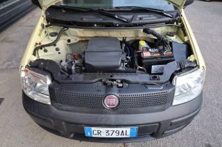 FIAT Panda usata 66