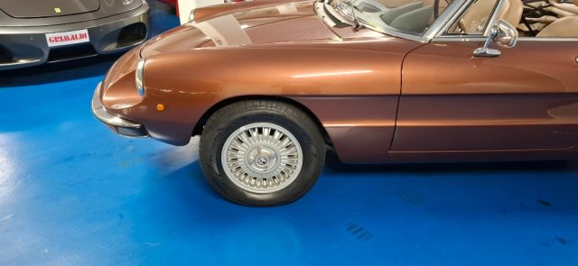 ALFA ROMEO Spider usata 18