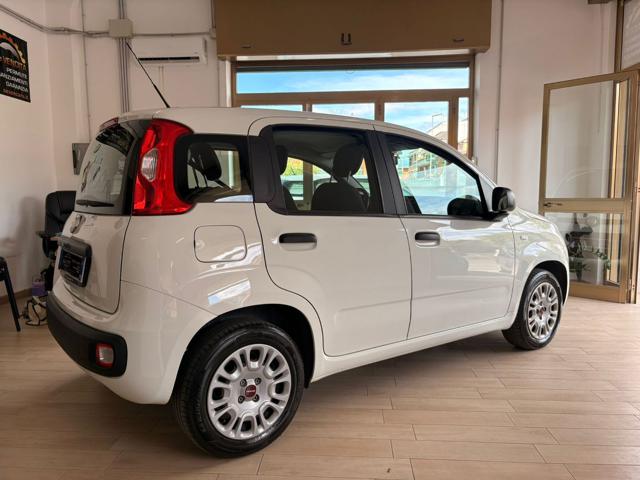FIAT Panda usata, con Climatizzatore