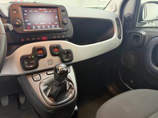 FIAT Panda usata, con Controllo trazione