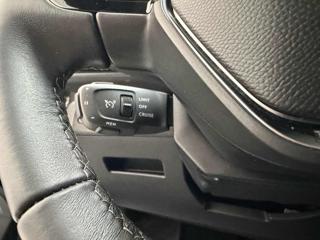 PEUGEOT 3008 usata 20