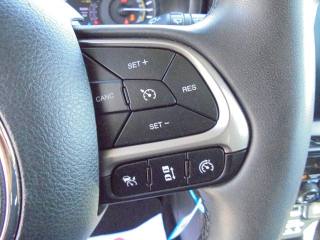 JEEP Renegade usata 45