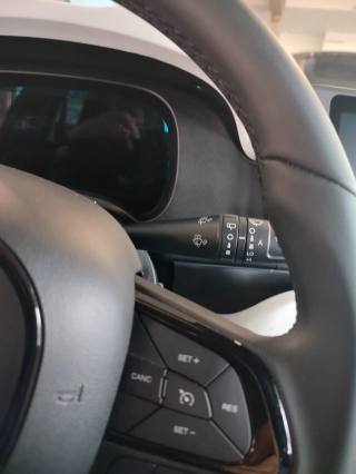 FIAT Panda usata, con Sensori di parcheggio posteriori