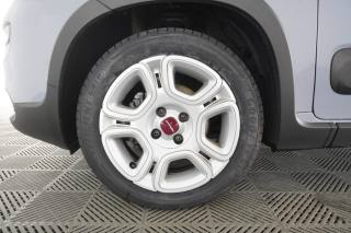 FIAT Panda usata 14