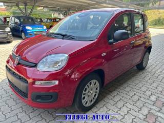 FIAT Panda usata, con Chiusura centralizzata