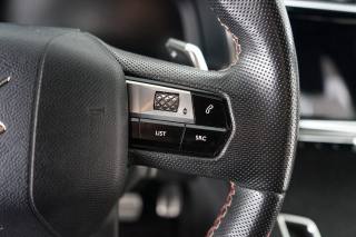 DS AUTOMOBILES DS 7 usata 51