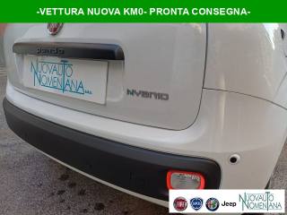 FIAT Panda 1.0 FireFly S&S Hybrid Pop Km0 Pronta Consegna