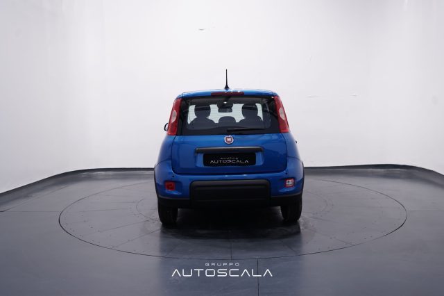 FIAT Panda usata, con Antifurto