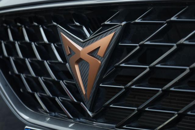CUPRA Formentor usata 75