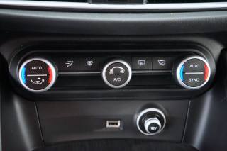 ALFA ROMEO Stelvio usata, con ESP