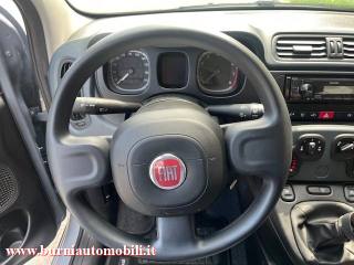FIAT Panda usata, con Controllo trazione
