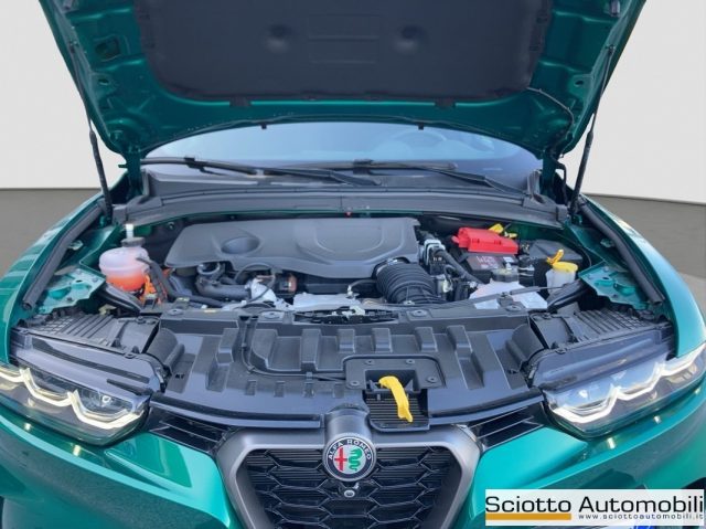 ALFA ROMEO Tonale usata, con Bracciolo