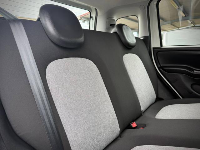 FIAT Panda usata 31