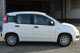 FIAT Panda usata, con Alzacristalli elettrici