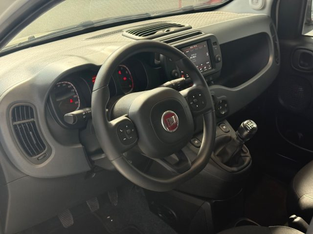 FIAT Panda Cross usata, con Fendinebbia