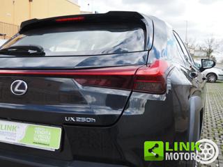 LEXUS UX 250h usata 31