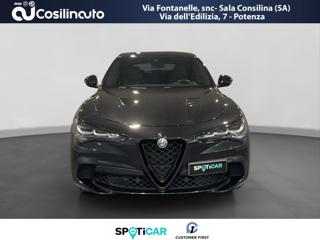 ALFA ROMEO Stelvio usata, con Chiusura centralizzata