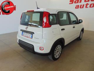FIAT Panda usata, con Controllo trazione