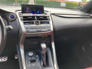 LEXUS NX 300 usata, con Cruise Control