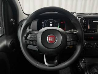 FIAT Panda usata, con Airbag testa