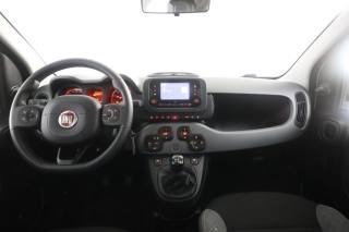 FIAT Panda usata 4