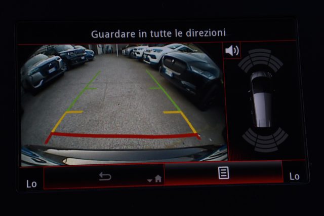 RENAULT Grand Scenic usata, con Cronologia tagliandi