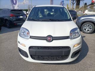 FIAT Panda usata, con Airbag