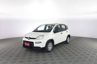 FIAT Panda usata 6