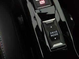PEUGEOT 2008 usata, con Vetri oscurati