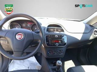 FIAT Punto usata, con Servosterzo