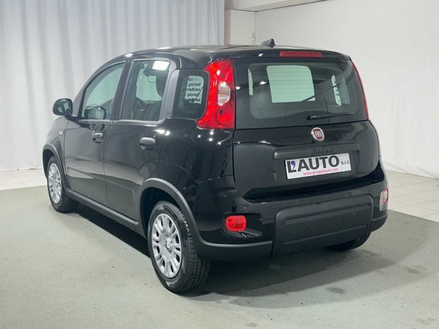 FIAT Panda usata, con Airbag Passeggero